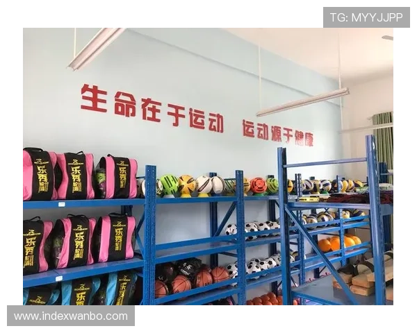 博友体育为用户提供的体育赛事数据分析工具介绍